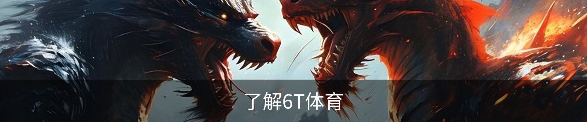 了解6T体育