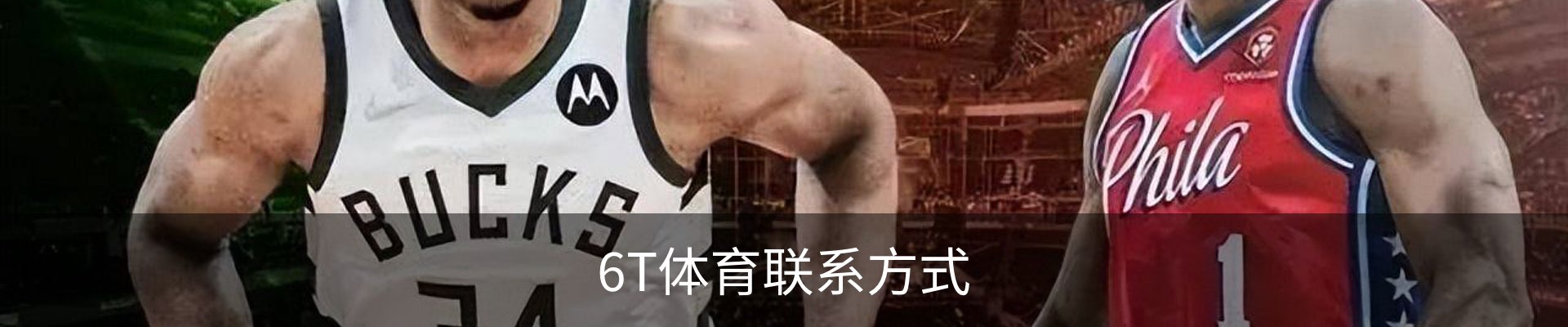 6T体育联系方式